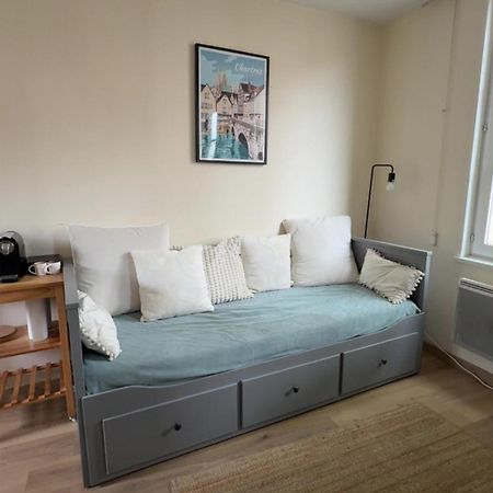 Appartement Bords De L'Eure Charmant Studio Σαρτρ Εξωτερικό φωτογραφία